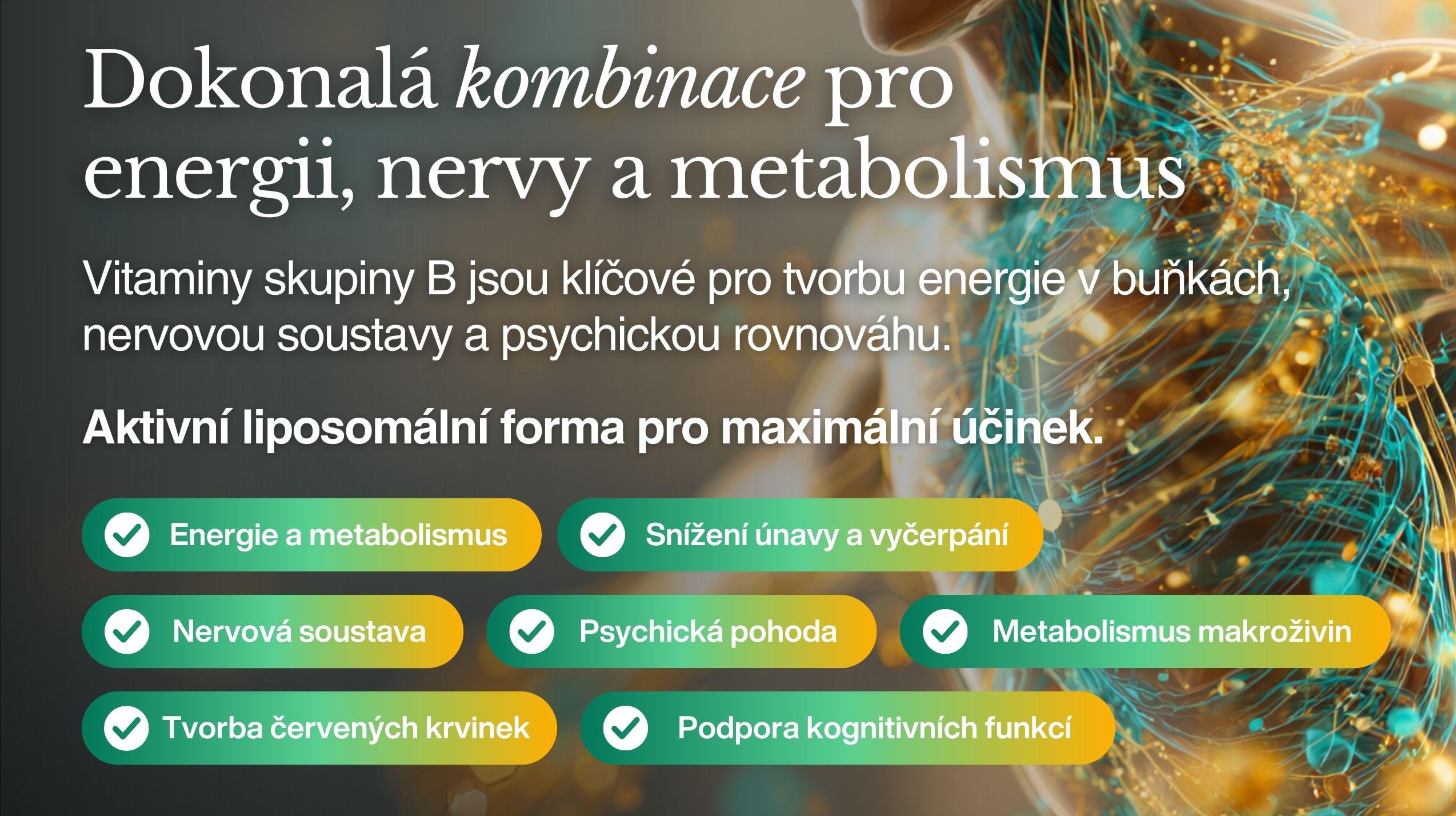 aktivní liposomální b-komplex profibio -5